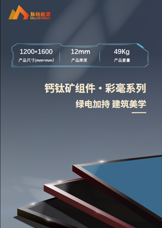 ML Painted Custom Series Specifications